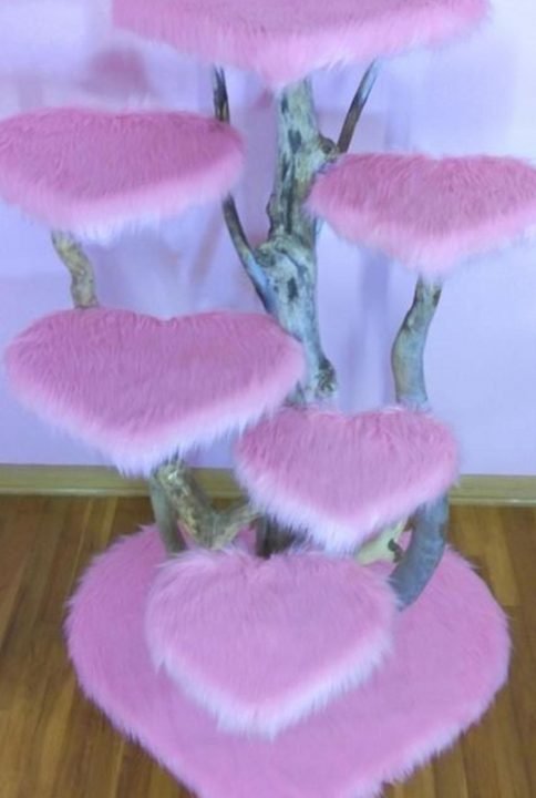 photo arbre a chat photo arbre a chat